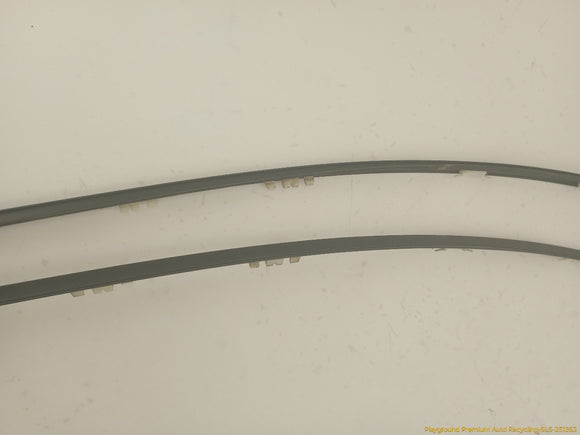 Hyundai Genesis Pair Of Front Upper Door Molding