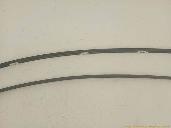 Hyundai Genesis Pair Of Front Upper Door Molding