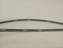 Hyundai Genesis Pair Of Front Upper Door Molding-11