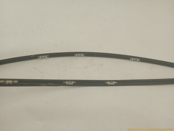Hyundai Genesis Pair Of Front Upper Door Molding