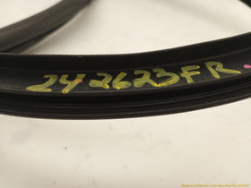 Acura RSX Passenger Right Front Door Molding - 0