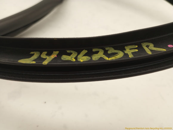 Acura RSX Passenger Right Front Door Molding