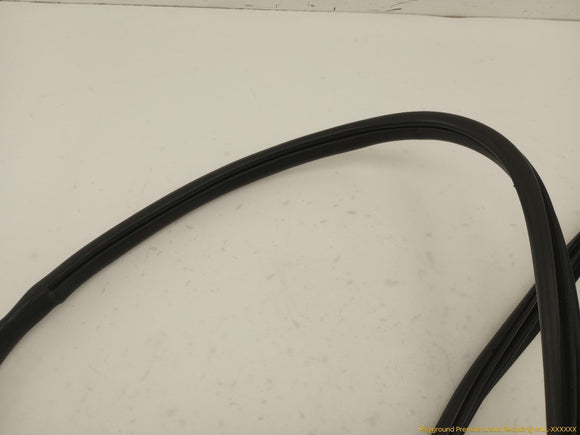 Acura RSX Passenger Right Front Door Molding