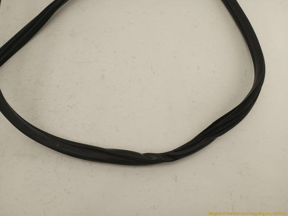 Acura RSX Passenger Right Front Door Molding