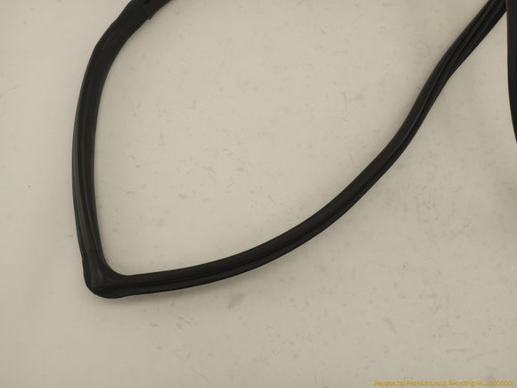 Acura RSX Passenger Right Front Door Molding