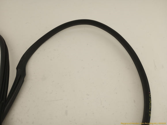 Acura RSX Passenger Right Front Door Molding