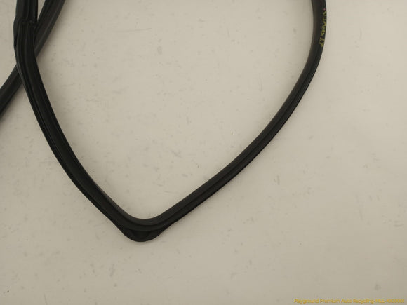 Acura RSX Passenger Right Front Door Molding