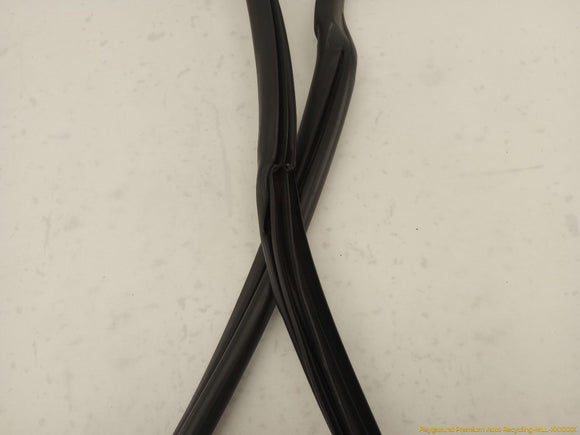 Acura RSX Passenger Right Front Door Molding