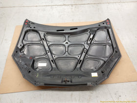 Hyundai Genesis Hood Bonnet Panel - 0