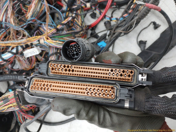 BMW 328IC Vehicle Body Wire Harness