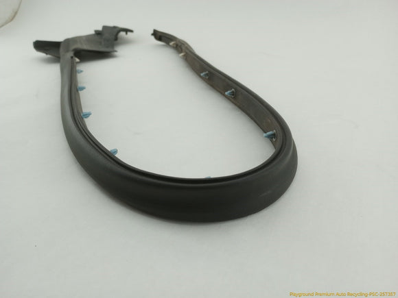Tesla Model S Passenger Right Rear Secondary Door Seal