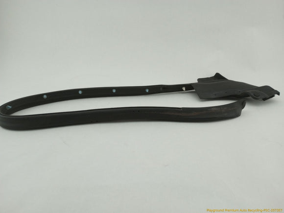 Tesla Model S Passenger Right Rear Secondary Door Seal