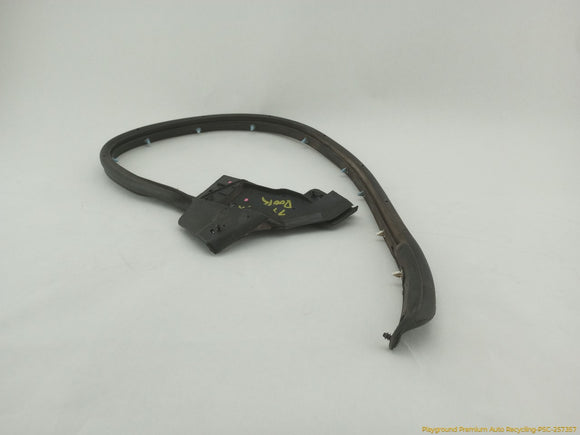 Tesla Model S Passenger Right Rear Secondary Door Seal
