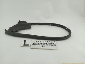 Tesla Model S Driver Left Rear Secondary Door Seal