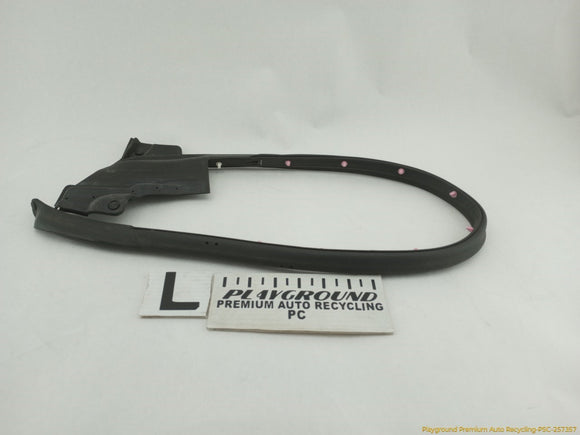 Tesla Model S Driver Left Rear Secondary Door Seal