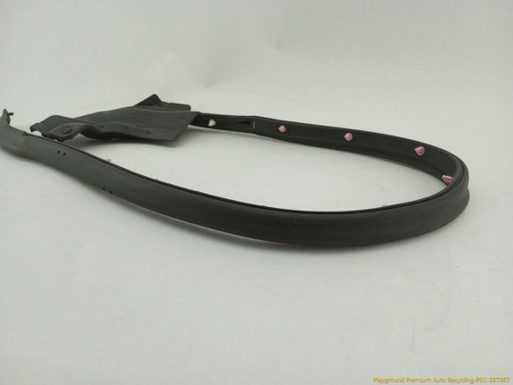Tesla Model S Driver Left Rear Secondary Door Seal