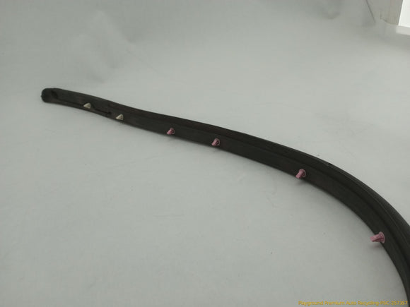 Tesla Model S Driver Left Rear Secondary Door Seal