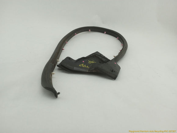 Tesla Model S Driver Left Rear Secondary Door Seal