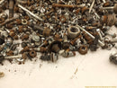 Honda Element Dismantling Hardware Fasteners Bolts & Nuts-6