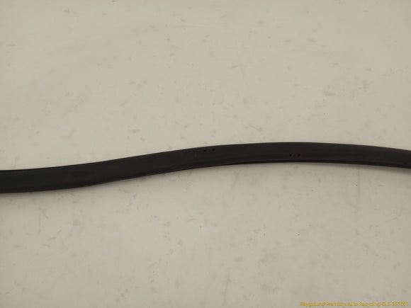 Tesla Model S Passenger Right Front Secondary Door Seal