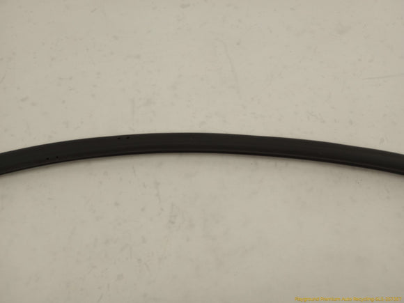 Tesla Model S Passenger Right Front Secondary Door Seal