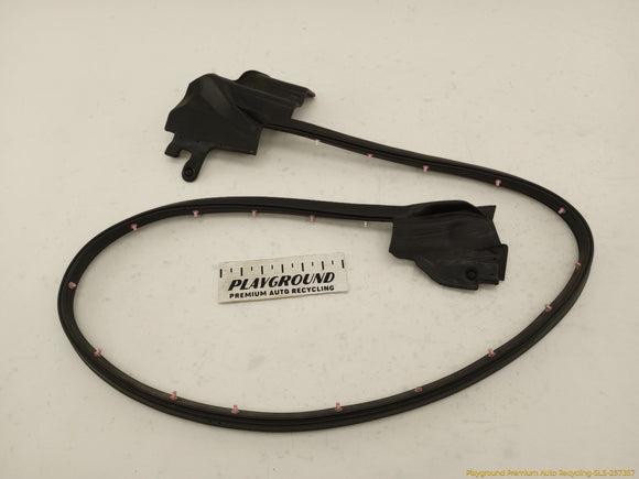 Tesla Model S Driver Left Front Secondary Door Seal