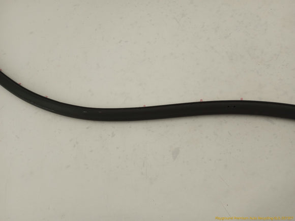 Tesla Model S Driver Left Front Secondary Door Seal