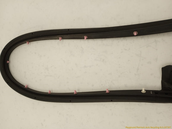 Tesla Model S Driver Left Front Secondary Door Seal