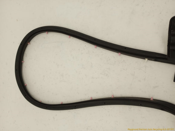 Tesla Model S Driver Left Front Secondary Door Seal