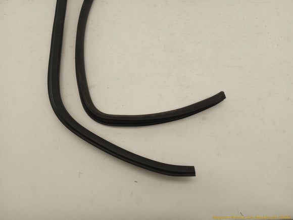 Hummer H3 Set Of Rear Door Seal Strips