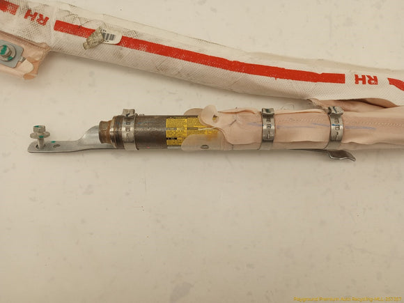 Tesla Model S Passenger Right Side Curtain Airbag