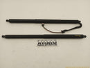 Tesla Model S Pair Of Liftgate Power Shock Strut-1
