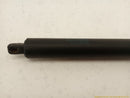 Tesla Model S Pair Of Liftgate Power Shock Strut-7