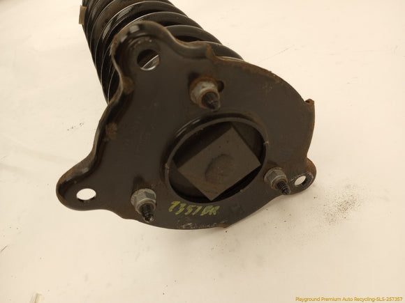 Tesla Model S Pair Of Rear Struts