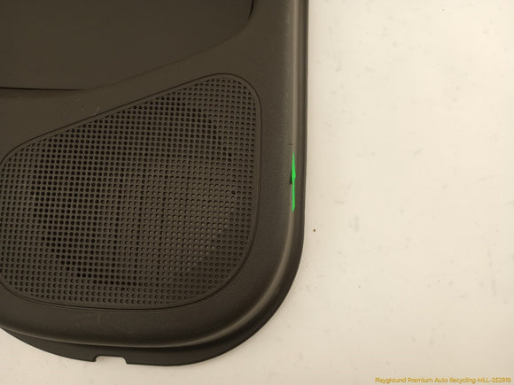 Nissan Xterra Driver Left Rear Door Trim