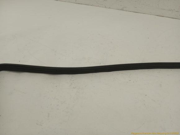 BMW 735i Trunk Lid Seal Weatherstrip