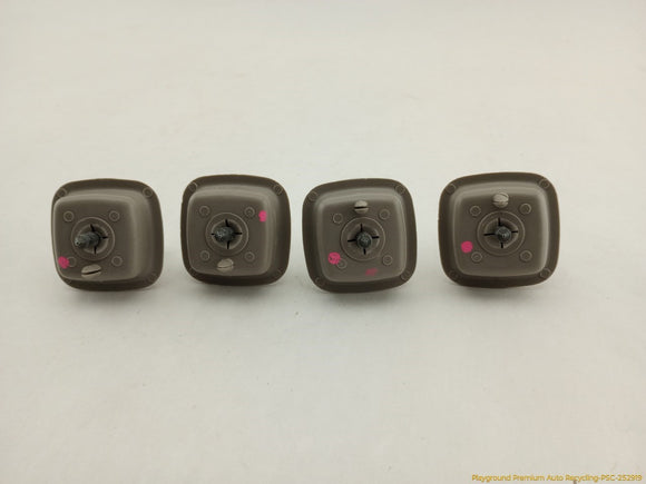 Nissan Xterra Interior Overhead Trim Set