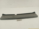 Nissan Xterra Rear Bumper Step Pad-1