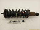 Nissan Xterra Passenger Right Front Strut-1