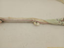 Dodge Durango Passenger Right Side Curtain Airbag-5