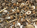 Nissan Xterra Dismantling Hardware Fasteners Bolts & Nuts-8