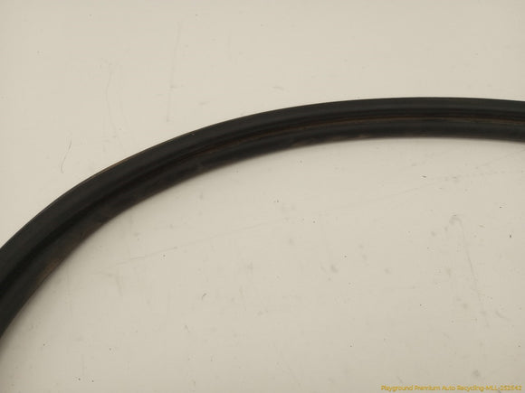 BMW 645CI Trunk Lid Weatherstrip