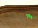 Lexus SC430 Trunk Lid Liner Cover Trim-4