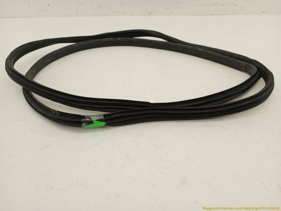 Acura RSX Passenger Right Front Door Seal Weatherstrip