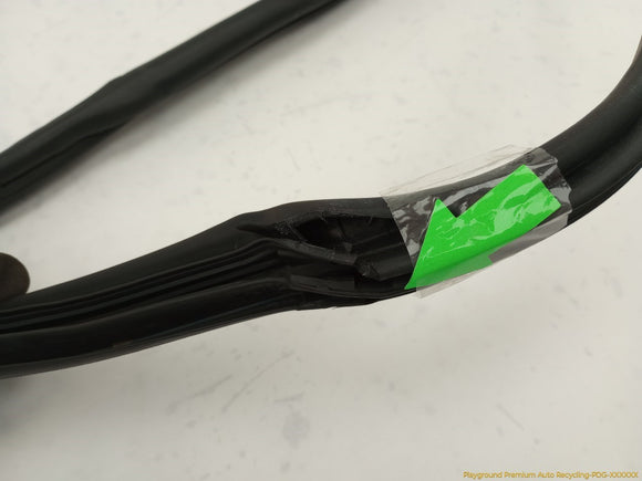 Acura RSX Passenger Right Front Door Seal Weatherstrip