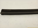 BMW Z3 Pair Of Inner Window Seal Weatherstrip-8