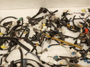 Lexus SC430 Vehicle Wiring Pigtails-5