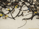 Lexus SC430 Vehicle Wiring Pigtails-7