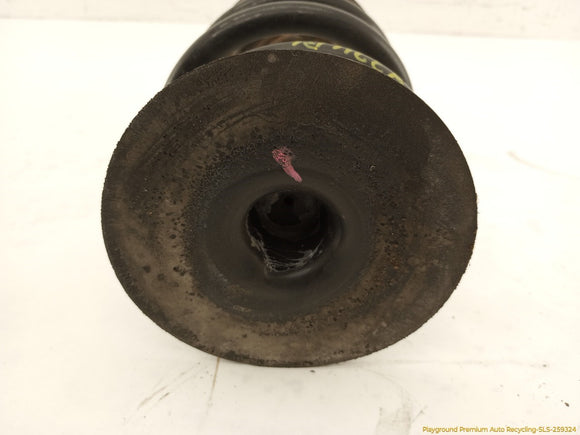 BMW Z3 Pair Of Rear Coil Springs