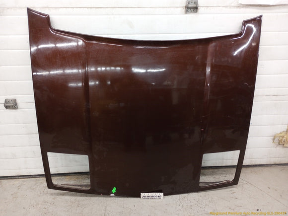 Pontiac Fiero Hood Bonnet Panel